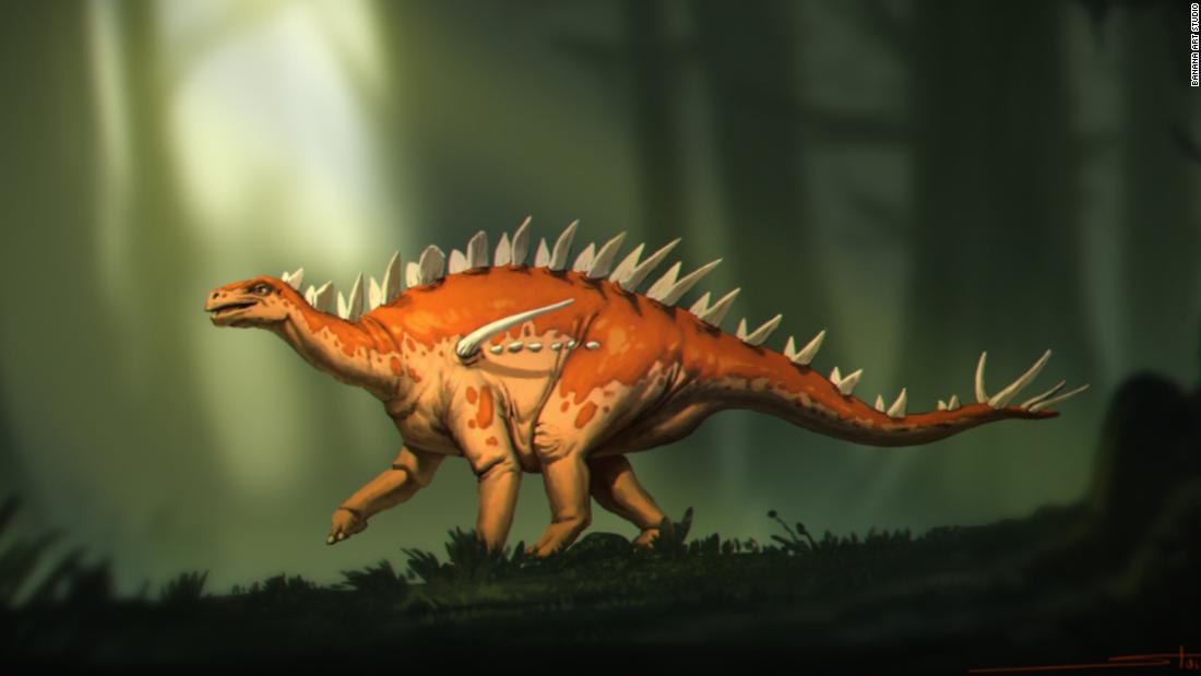I fossili di stegosauro scoperti hanno uno 