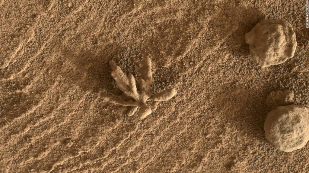 Una piccola formazione "fiore" individuata dal rover Curiosity su Marte