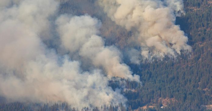 A circa 30.000 persone è stato ordinato di evacuare mentre infuriano gli incendi nella Columbia Britannica, in Canada


