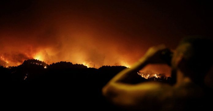 Decine di migliaia di persone sono state evacuate mentre gli incendi infuriavano fuori controllo a Tenerife, in Spagna

