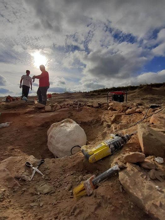 Ricercatori sul luogo degli scavi.  / Credito: foto di Felipe Pinheiro