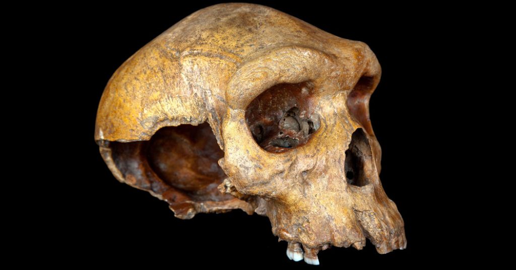 Uno studio genetico suggerisce che gli antenati dell’umanità sono quasi morti
