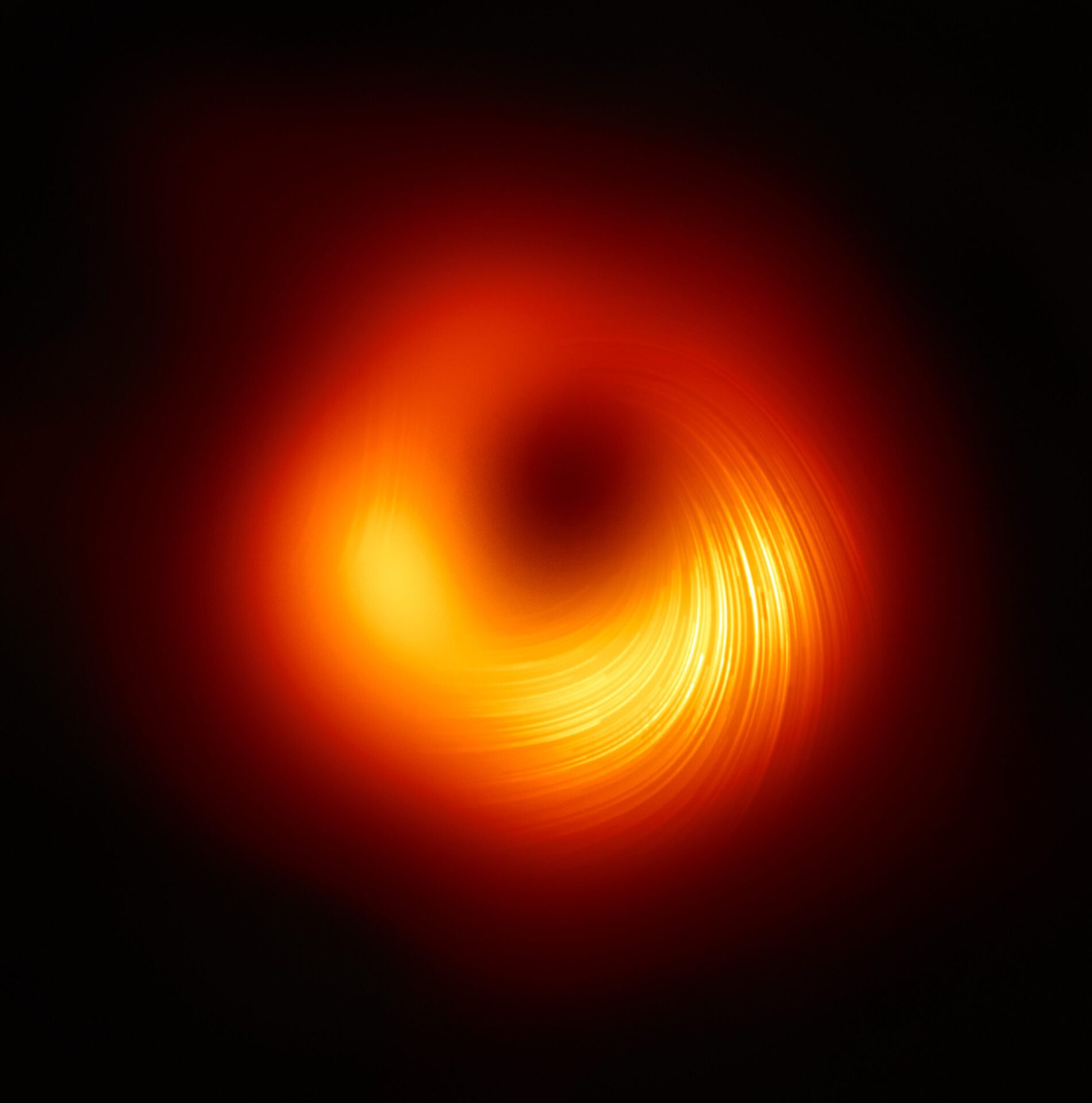 Il gas e la polvere dorati mostrano campi magnetici polarizzati attorno al buco nero supermassiccio nel cuore di M87, come si vede in un’immagine composita acquisita dall’Event Horizon Telescope nel 2021.