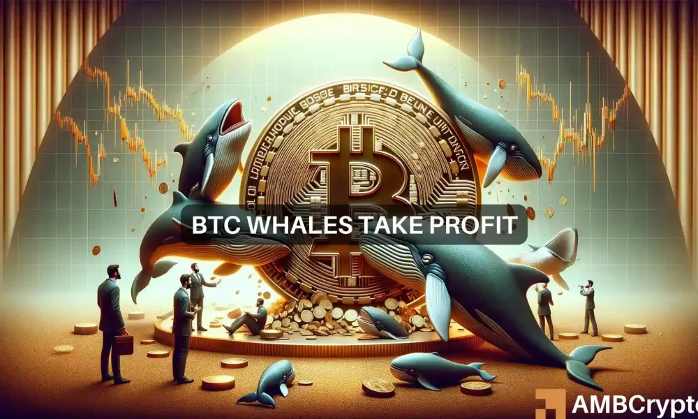 Bitcoin sotto i 64.000 dollari: attenzione a queste balene per individuare segnali di inversione