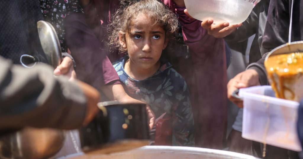 Israele attribuisce la colpa della carestia a Gaza all'ONU, mentre l'UNICEF afferma che un terzo dei neonati e dei bambini piccoli a Gaza soffre di malnutrizione acuta.