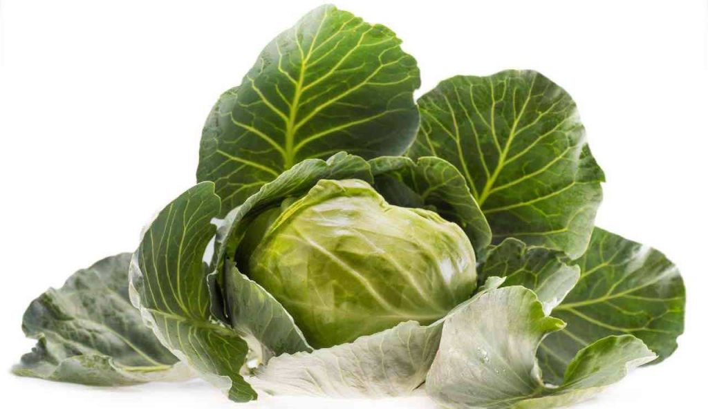 Odore di cavolo in tutta la cucina: non per questo devi smetterla di cucinarlo | Svelato il trucco che in pochi conoscono
