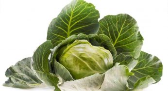 Odore di cavolo in tutta la cucina: non per questo devi smetterla di cucinarlo | Svelato il trucco che in pochi conoscono
